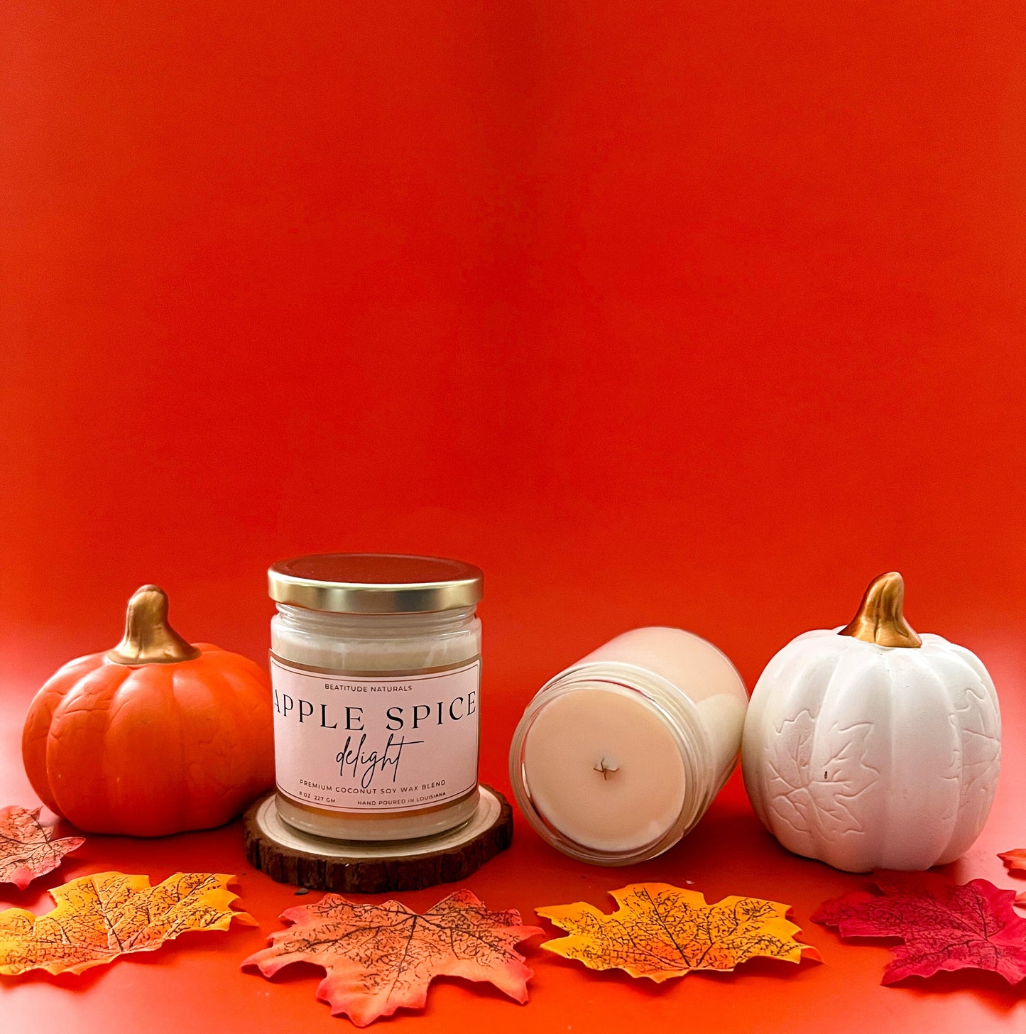 Apple Spice Delight Coconut Soy Candle 8 oz